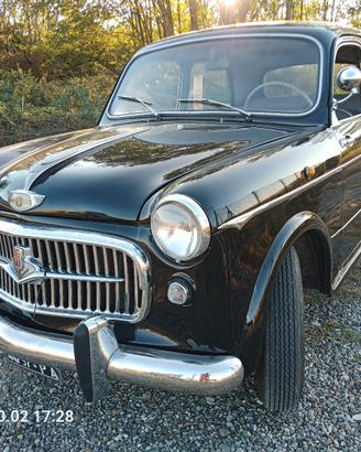 fiat 1100 del 57