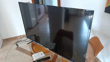 TV tcl 43 pollici