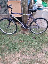 Biciclette