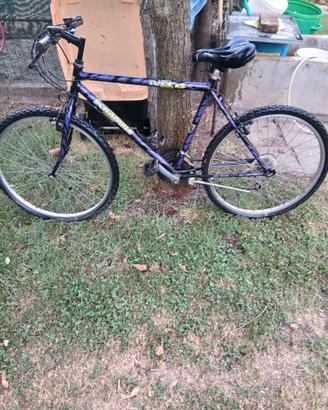 Biciclette
