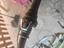 Immagine 2