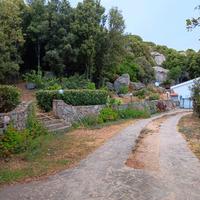 Casa in campagna 1,6 ha con dependance calma