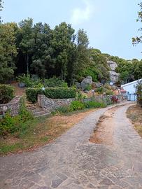 Casa in campagna 1,6 ha con dependance calma