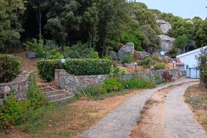 Casa in campagna 1,6 ha con dependance calma