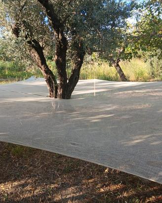 Reti raccolta olive 
