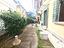 Immagine 7