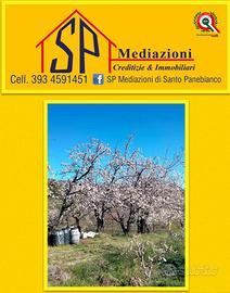 Terreno Ben Coltivato