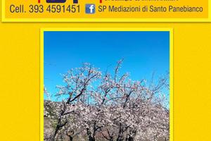 Terreno Ben Coltivato