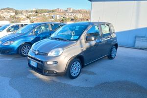FIAT PANDA HYBRID CITY LIFE 70CV 2023