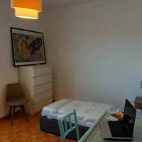 Camera singola solo ragazzi lavoratori /stagisti