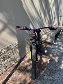 bici whelie 