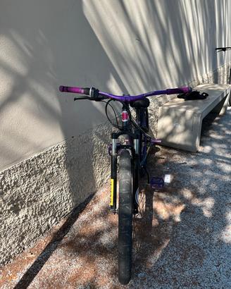 bici whelie 