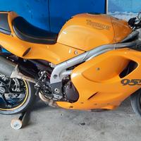 Triumph daytona 955i 2001 special