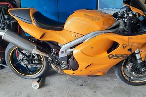 Triumph daytona 955i 2001 special