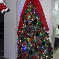 Albero usato solo quest’ anno