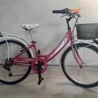 bicicletta con cambi