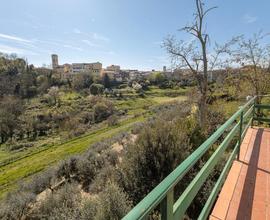 Viareggina da rimodernare con garage e giardino