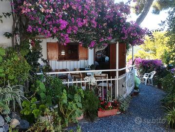 Bungalow