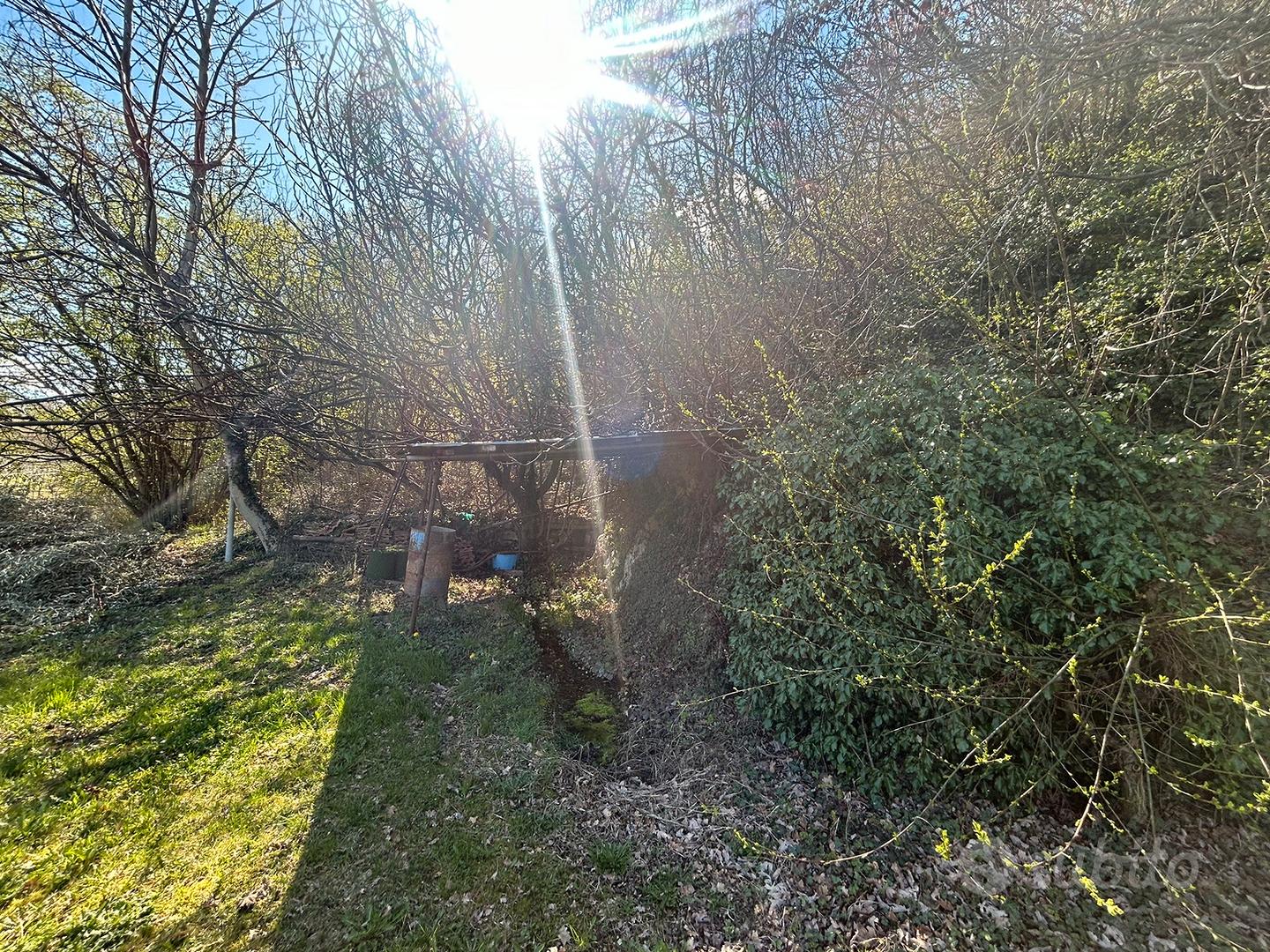 Terreno agricolo uliveto vigneto e bosco - Altro