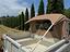 Immagine 12