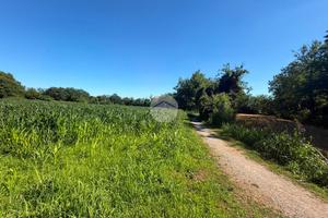 TER. AGRICOLO A SEREGNO