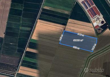 Terreno Agricolo Casale di Scodosia