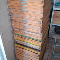 Apiscampo per arnia da 10.