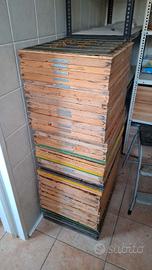 Apiscampo per arnia da 10.