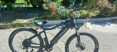 bici elettrica argento
