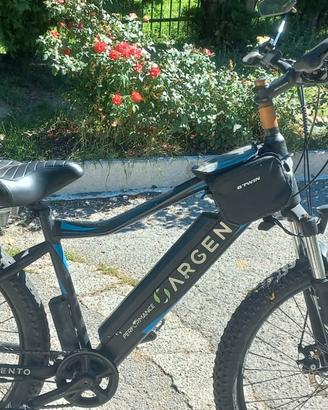 bici elettrica argento