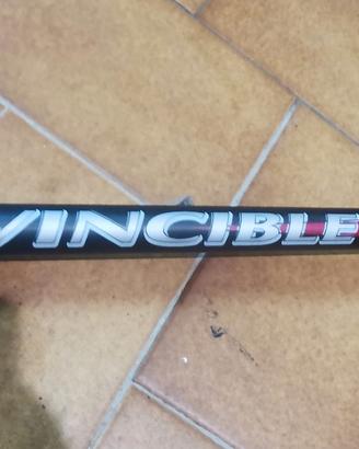Canna bolognese Maver Invincible 700