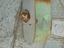 Immagine 2