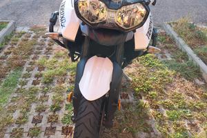 Triumph Tiger 800 - 2016