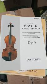 Manuali di tecnica violinistica