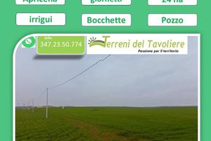 Terreno Agricolo 24 Ettari - Apricena