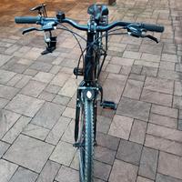 Bicicletta trekking.