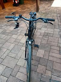 Bicicletta trekking.