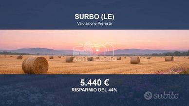 Immobile in asta di 5700 m² a Surbo