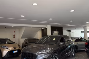 Ford Kuga 2.0 EcoBlue Hybrid 150 CV 2WD ST-Line
