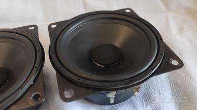 CORAL PFW-100 Mid-woofer