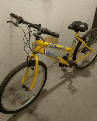 Bicicletta da Donna