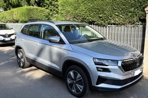 Skoda karoq 2.0 TDI Executive DSG