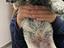 Immagine 4