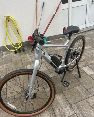 bicicletta a pedalata assistita e-bike