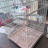 Gabbia per pappagalli