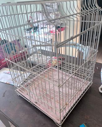 Gabbia per pappagalli