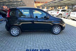 FIAT Panda PROMO FINANZ 1.0 HYBRID ICON KM 0