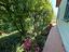 Immagine 12