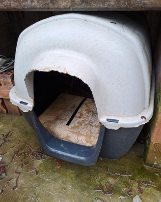 cuccia per cane, gatto e cestone