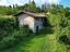 Immagine 7